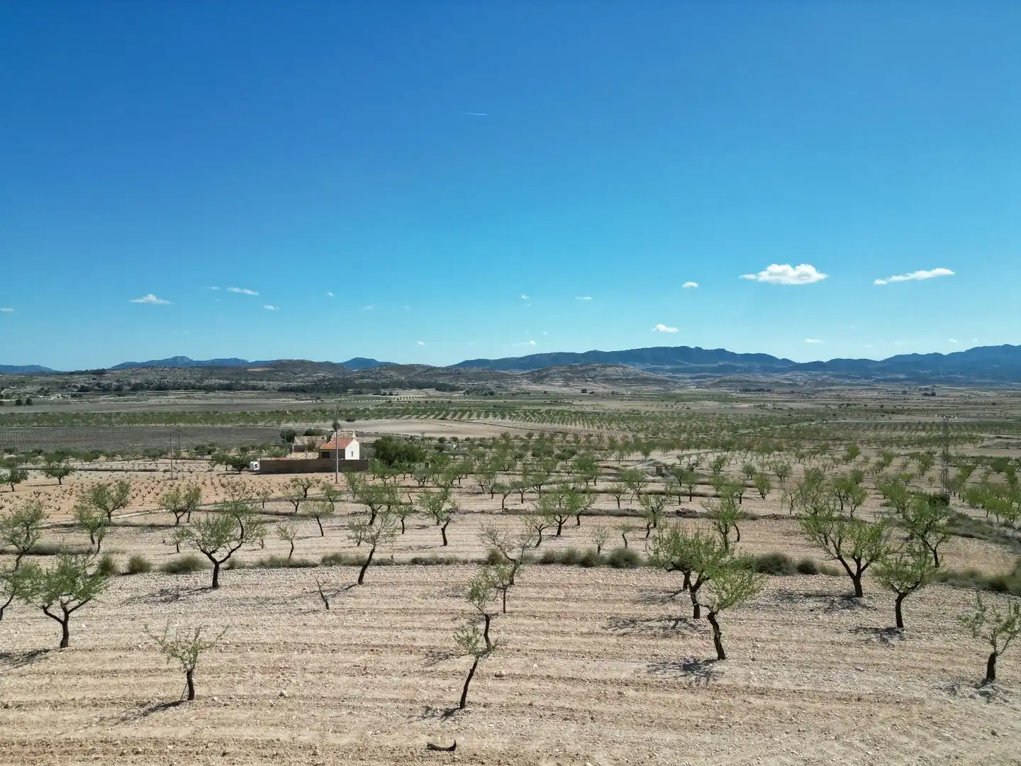 Terreny residencial en venda a Jumilla, imagen 5