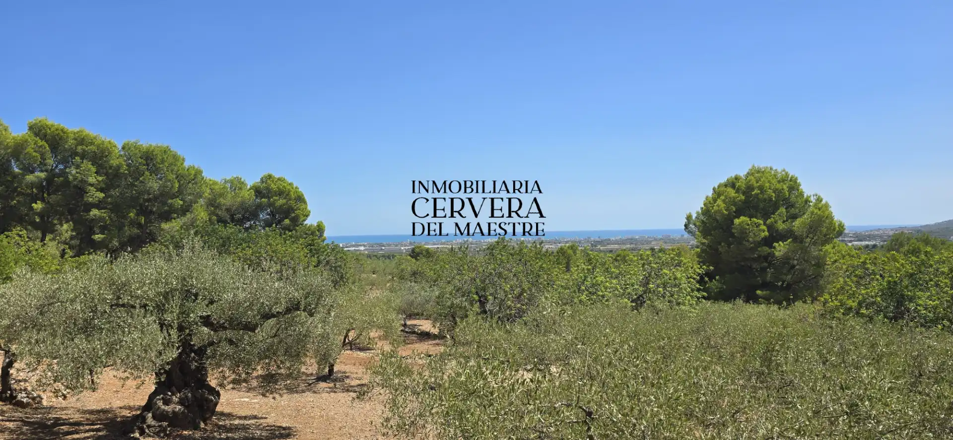 Rural land for sale in Vía Po Polígono 17 60, imagen 44