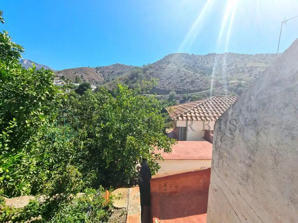 Vista exterior de Casa o chalet en venta en Canillas de Aceituno con Aire acondicionado, Jardín privado y Terraza