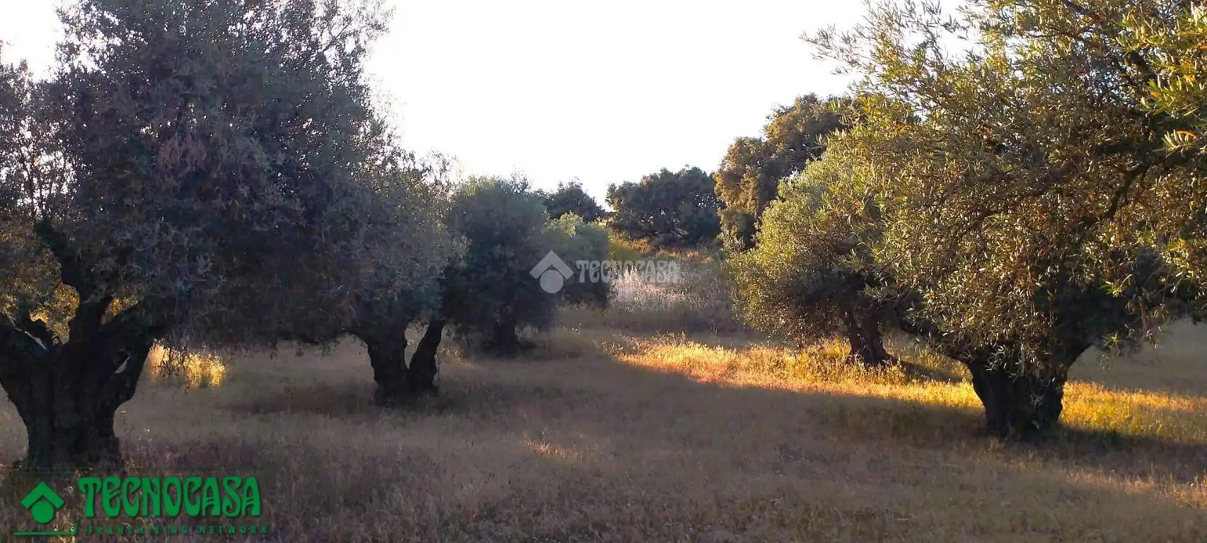Terreni e lotti in vendita a Méntrida, imagen 15