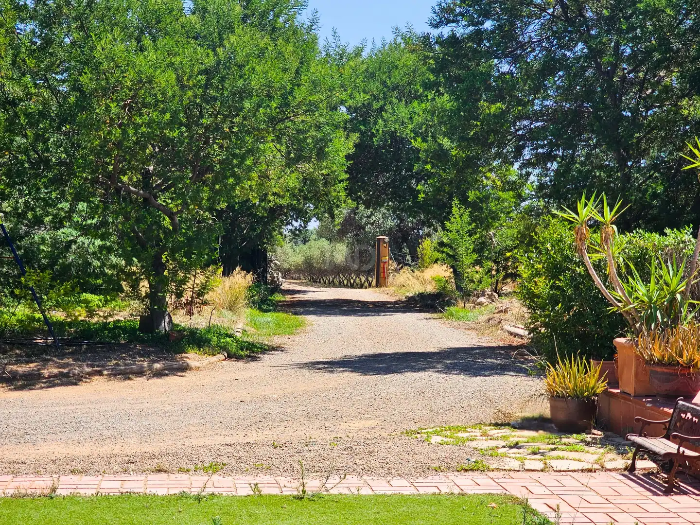 Vista exterior de Finca rústica en venda en Montbrió del Camp amb Aire condicionat, Calefacció i Terrassa