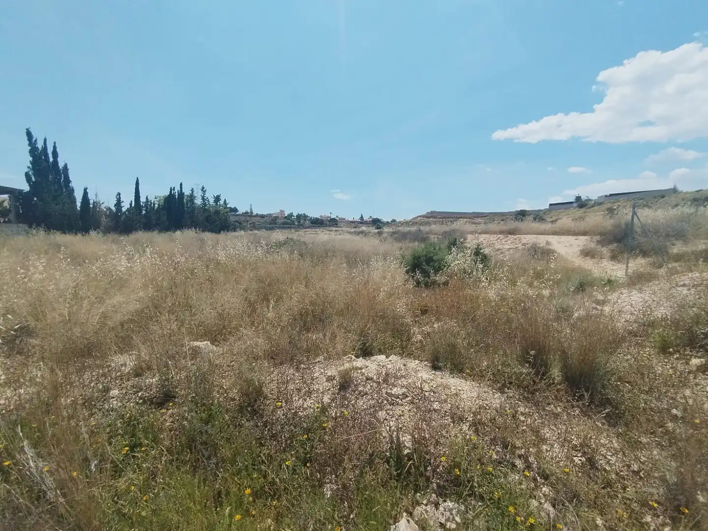 Terreno rústico en venta en Camí de la Esparraguera, imagen 6