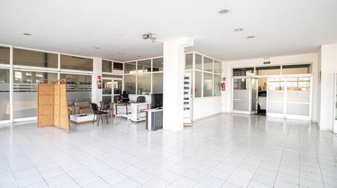 Foto 3 von Fabrikhallen zum Verkauf in Santa Margalida Poble, Santa Margalida