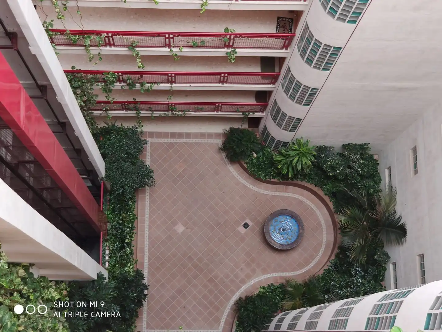 Terrassa de Àtic de lloguer en Alicante / Alacant amb Jardí privat, Terrassa i Moblat