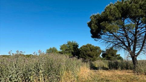Photo 3 of Land for sale in La Garena, Alcalá de Henares