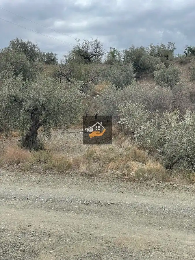 Residential land for sale in Vélez-Rubio, imagen 10