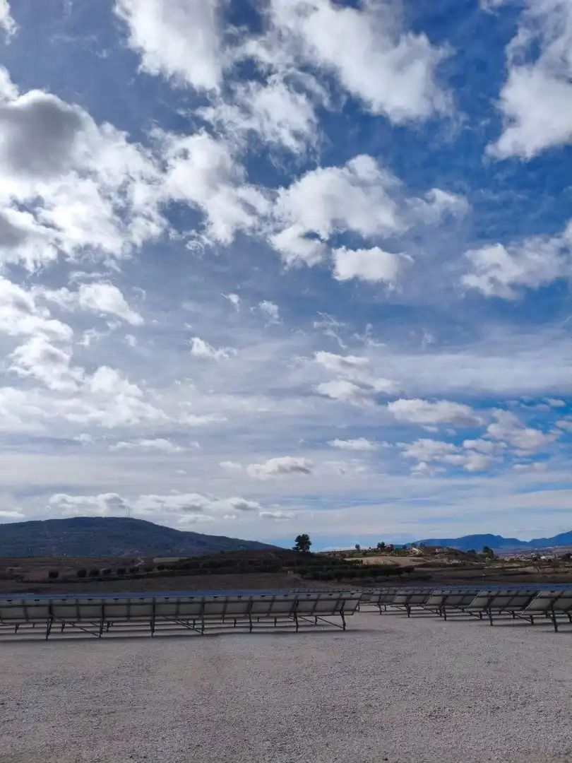 Rural land for sale in Algorfa, imagen 18
