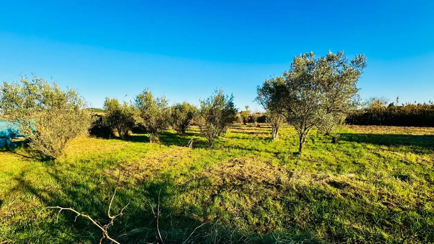 Finca rústica en venta en Tudela con Jardín privado