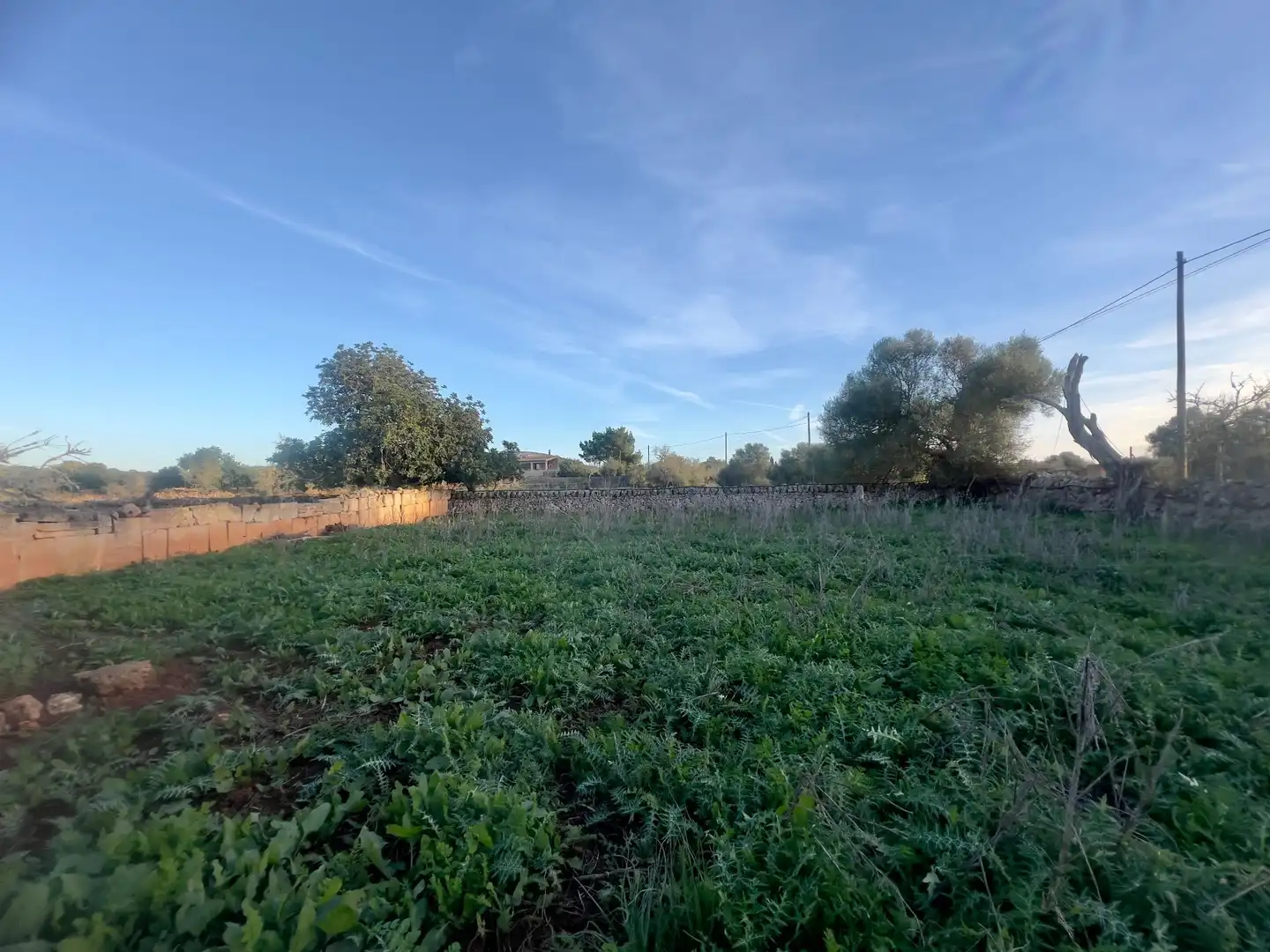 Rural land for sale in Cas Concos - Santanyí, imagen 18
