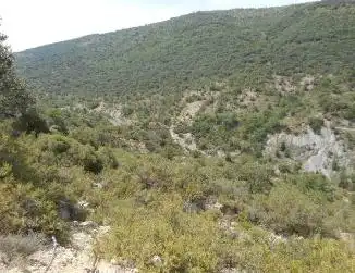 Terreno residenziale in vendita a Diseminat Agullo, imagen 7