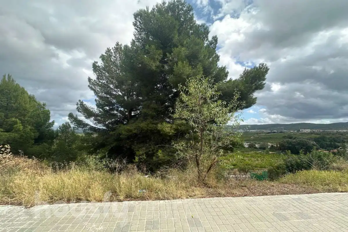 Terrenys i solars en venda a Carrer Cirerer (Can Coral) ., imagen 12