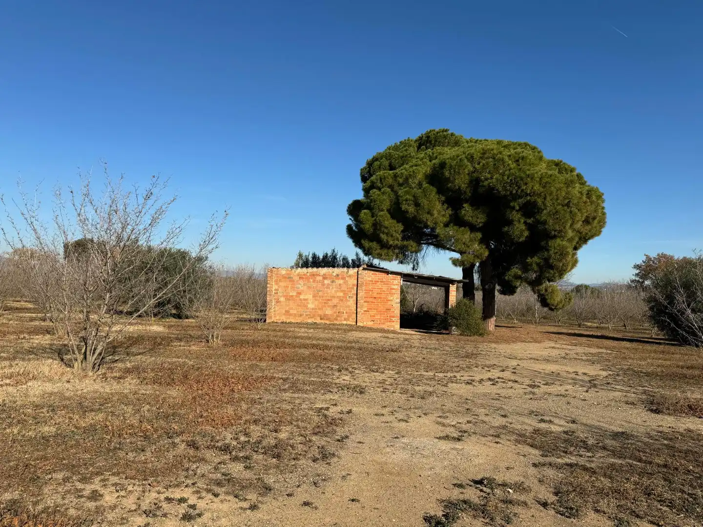 Terrenys i solars en venda a Constantí, imagen 6