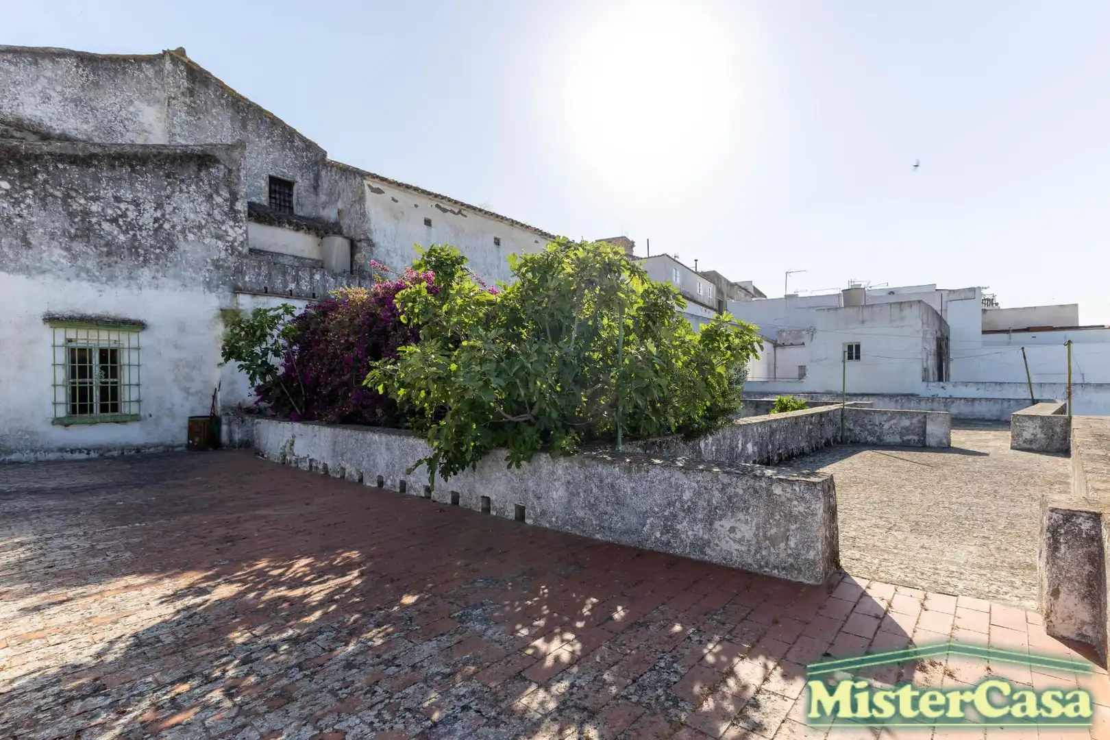 Vista exterior de Casa o xalet en venda en Arcos de la Frontera