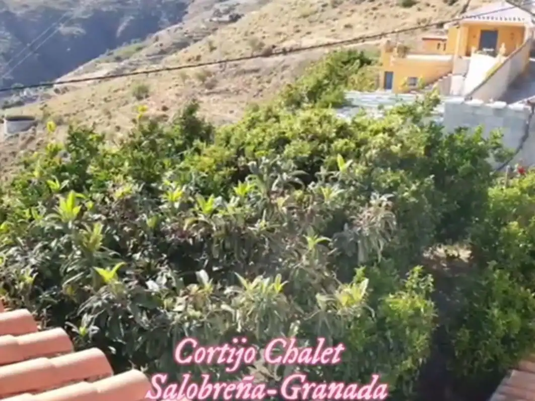 Xalet amb jardí en venda a Avenida del Mediterraneo 12, imagen 24