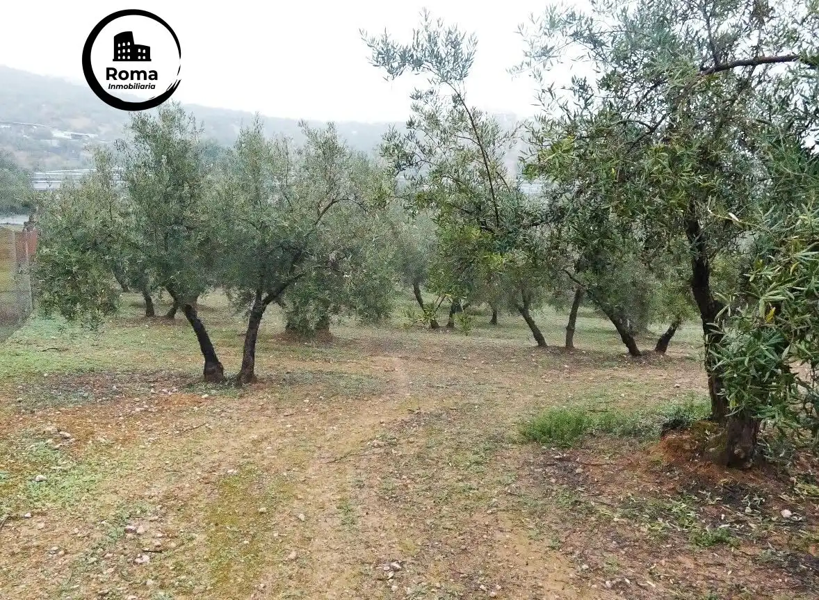 Terrain rustique à vendre à Peligros, imagen 21