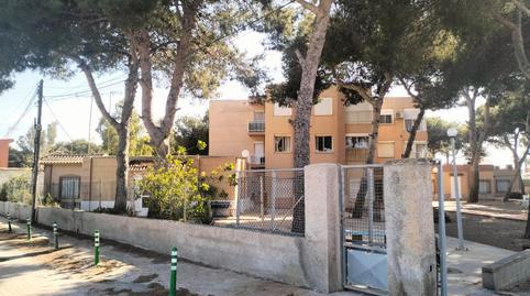 Foto 5 de Casa o xalet en venda a Barriomar - La Purísima, Murcia