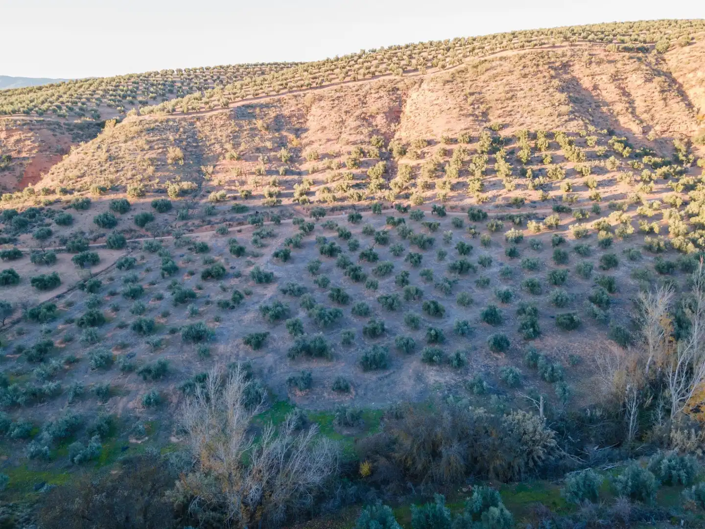 Terreno rustico in vendita a Calicasas, imagen 10