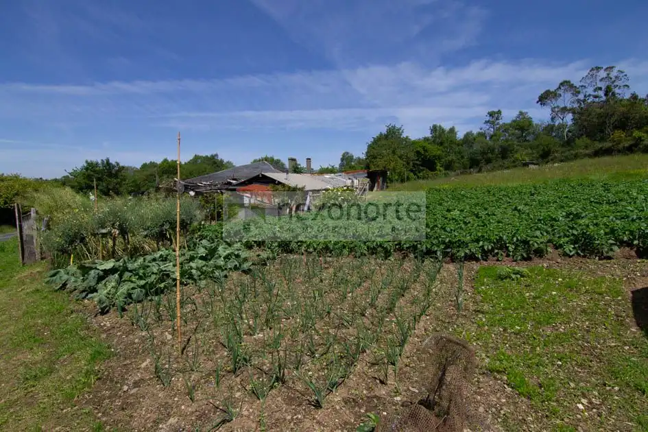 Finca rústica en venta en Ortigueira con Trastero