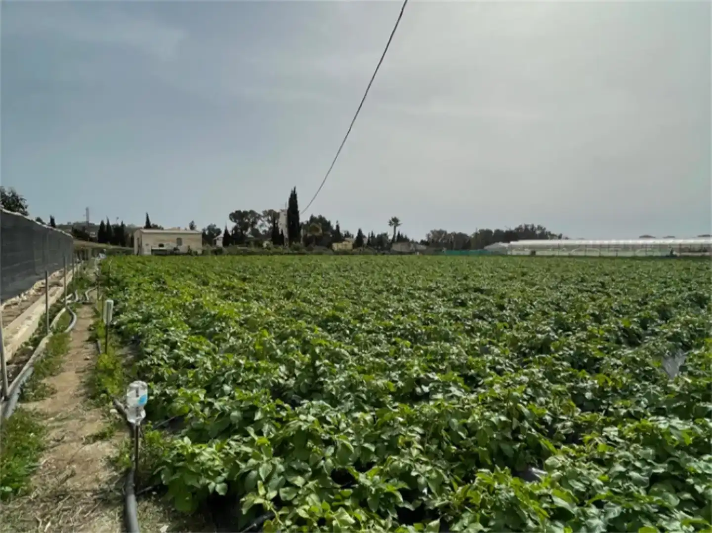 Finca rústica en venda en Algarrobo