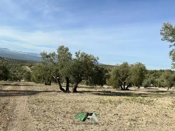 Terreni e lotti in vendita a Begíjar, imagen 6