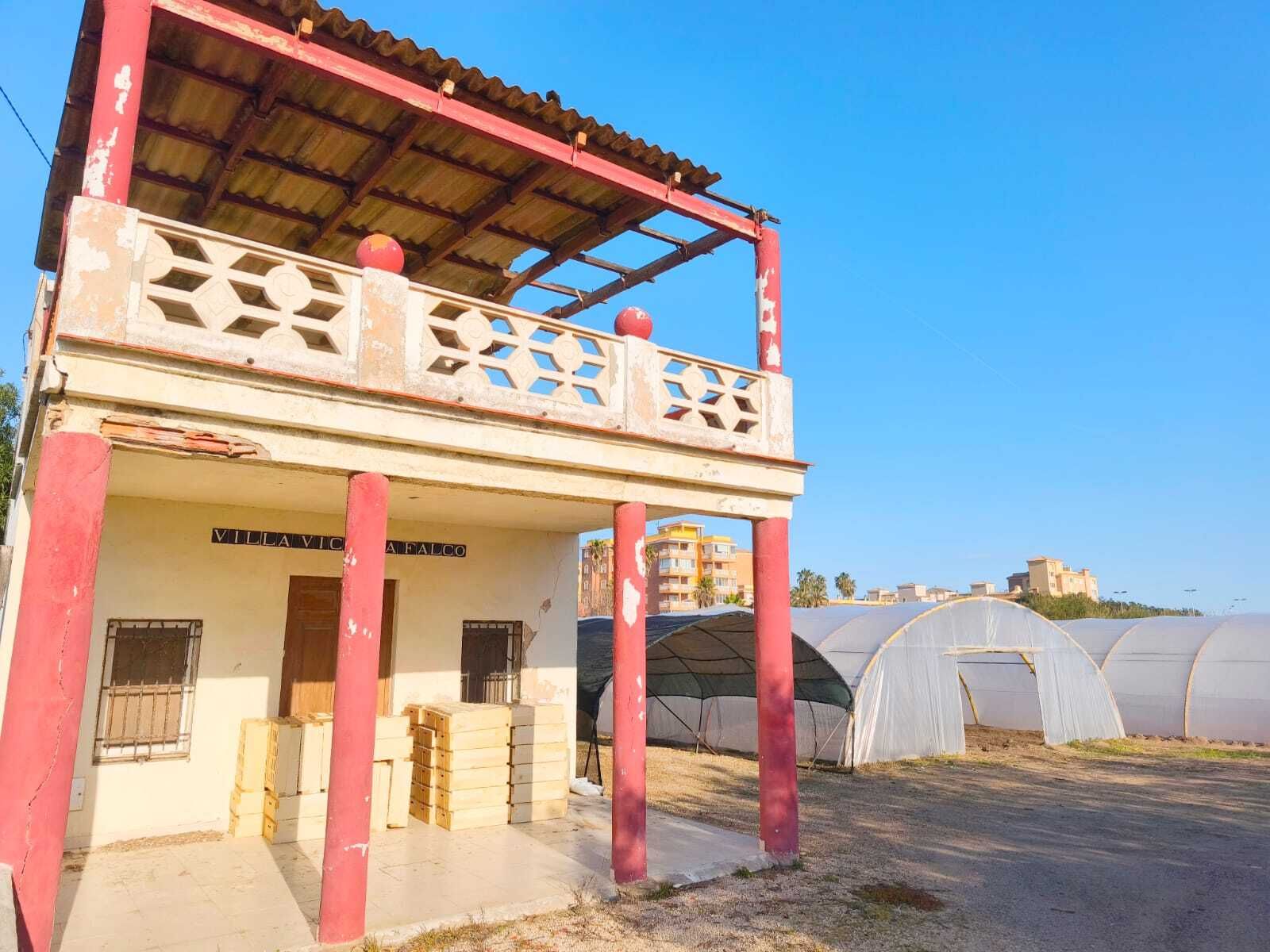 Exterior view of Country house for sale in Sueca