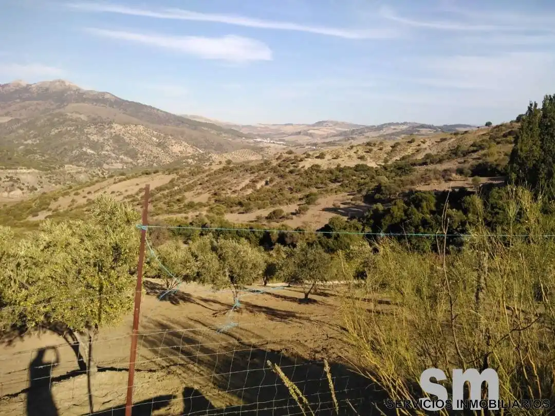 Terreno en venta en Zahara