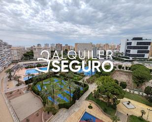 Vista exterior de Estudi de lloguer en Alicante / Alacant amb Terrassa i Piscina