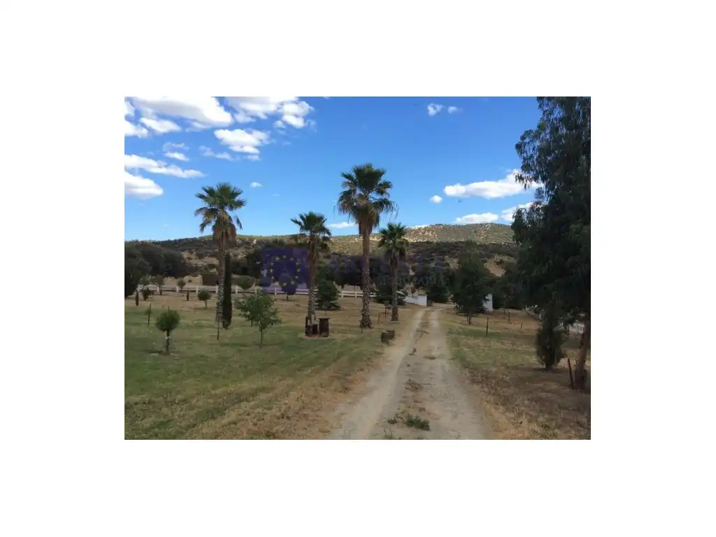 Houses for sale in Cañaveral