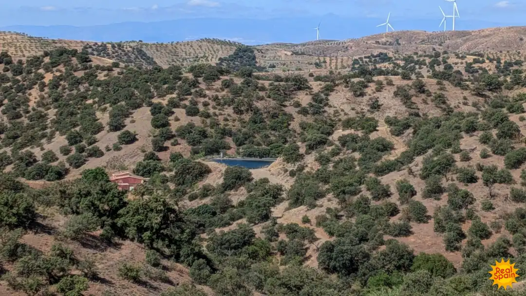 Casa rústica en venda a Vélez-Rubio, imagen 12