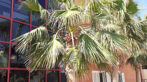 Foto 4 von Wohnungen zur Miete in Urbanizacion Callao Salvaje C, 6, Callao Salvaje - Playa Paraíso, Adeje