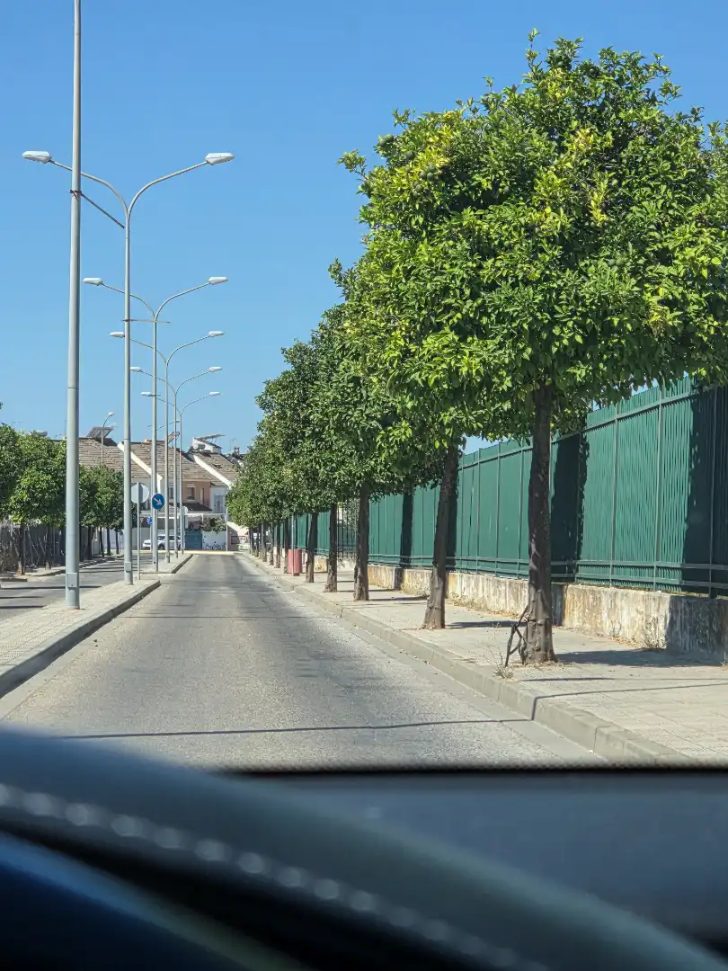 Vista exterior de Residencial en venta en Utrera