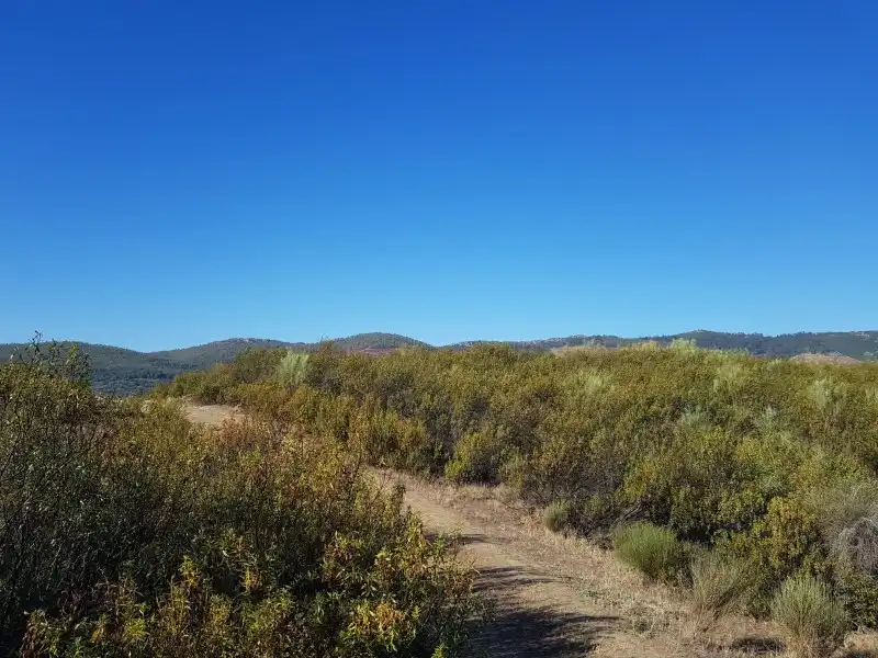 Terreno en venta en Fresnedoso de Ibor