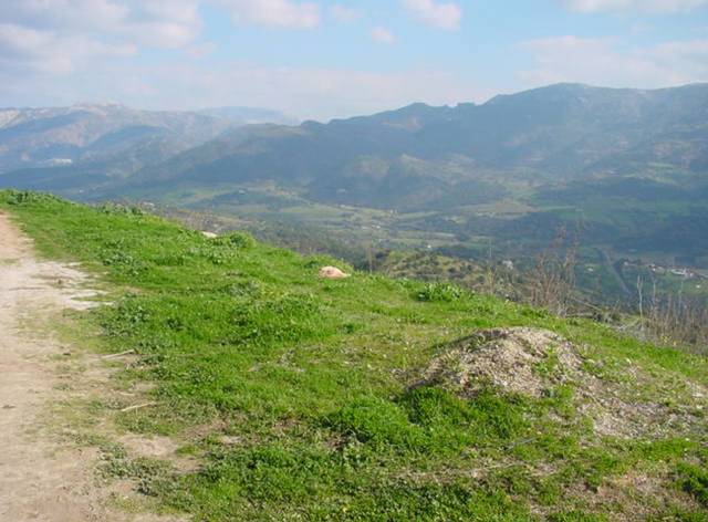 Terreno residencial en Venta en Cortes de la Frontera