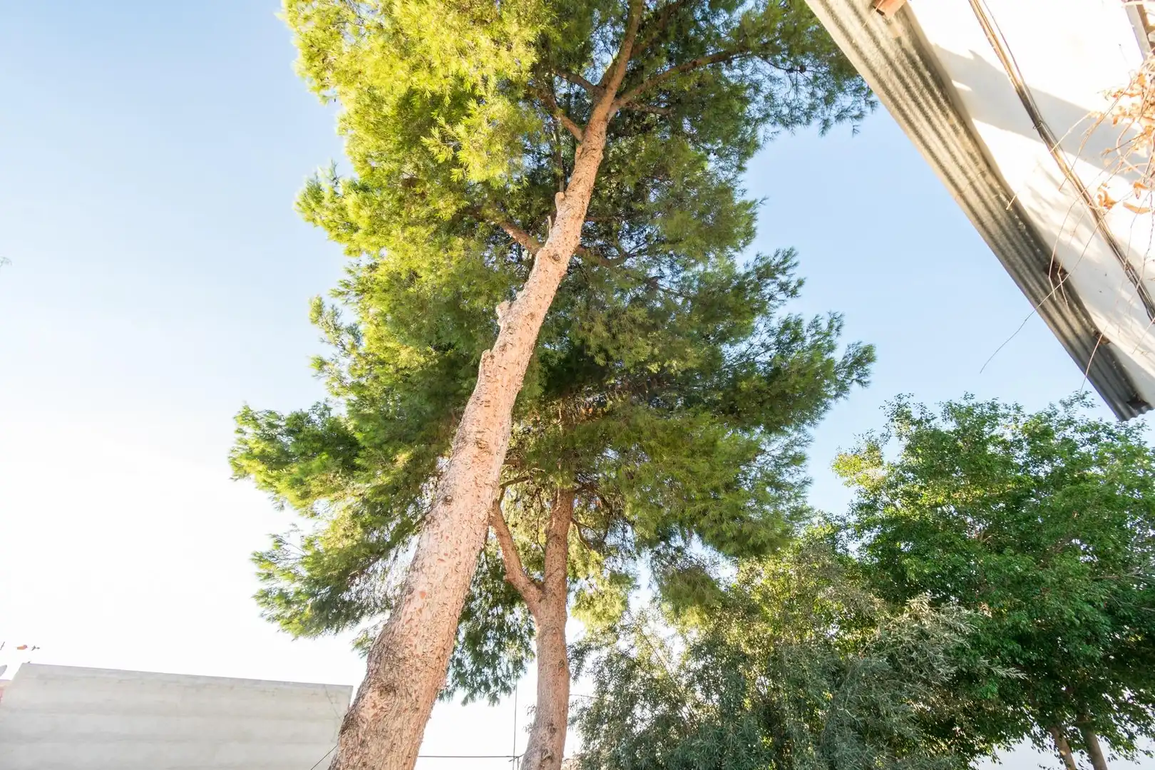 Casa con jardín en venta en Redován, imagen 8