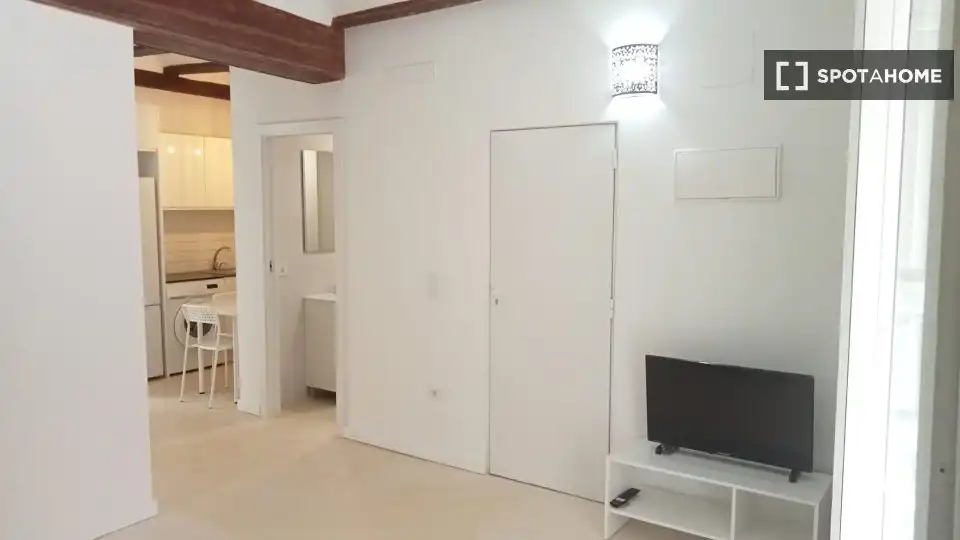Appartamento con terrazza in affitto a Ciutat Vella, imagen 4
