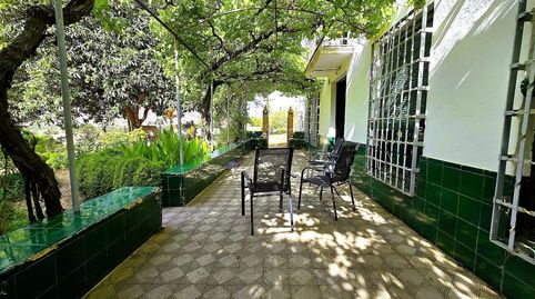 Finca Rústica con Casa de Campo, immagine 3