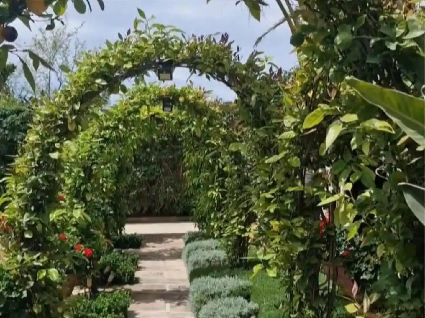 Jardín de Piso en venta en Calvià pueblo