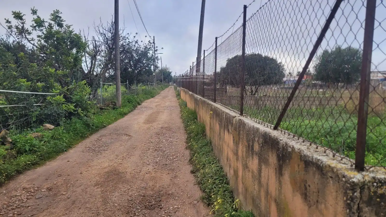 Terreny rústic en venda a Marratxinet, imagen 3