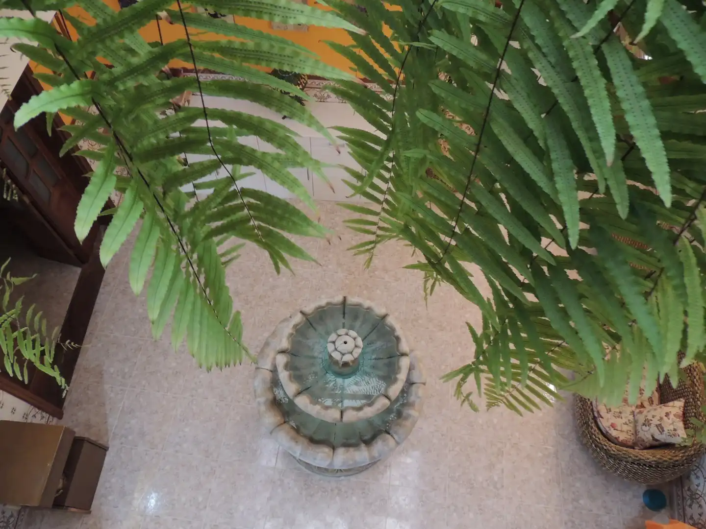 Jardín de Casa o chalet en venta en Telde con Terraza y Amueblado