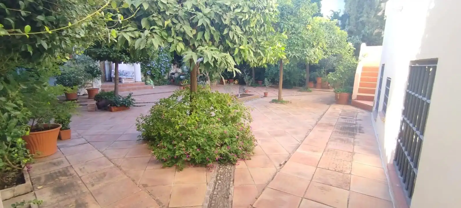 Flat with garden to rent in Albaicín, imagen 30
