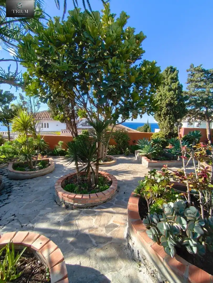 Jardí de Casa o xalet en venda en Almuñécar