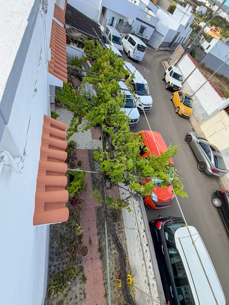Parking de Casa o chalet en venta en Moya (Las Palmas) con Jardín privado