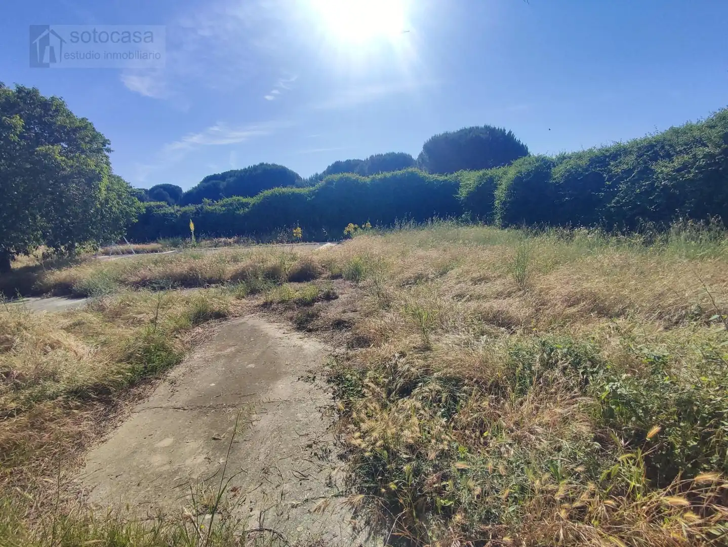 Casa o xalet en venda en Traspinedo amb Calefacció, Jardí privat i Piscina