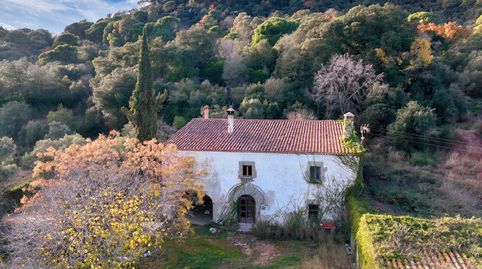 Finca rústica amb masia a Òrrius (Maresme)