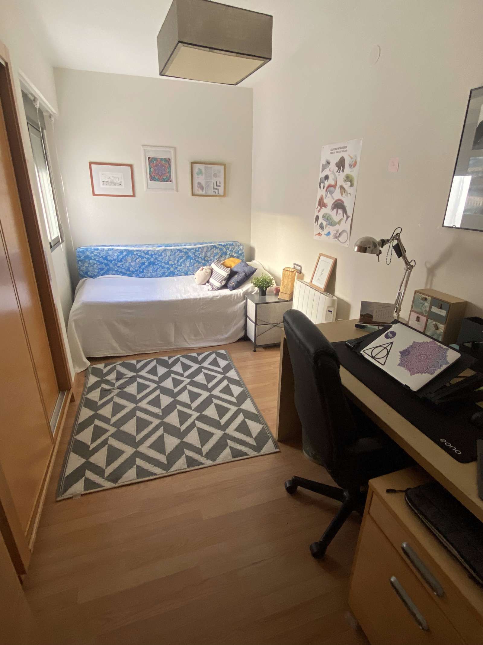 Pis per a compartir a El Alborgí