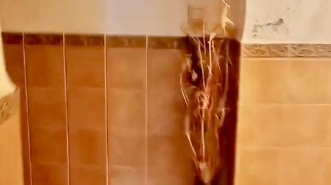 Foto 2 de Casa o xalet en venda a Calle de la Libertad, La Herrera, Albacete