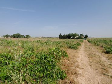 Country house for sale in Carrión de Calatrava