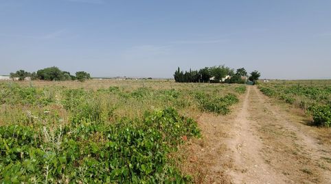 Finca Rúst. en venta en Carrion De Calatrava.