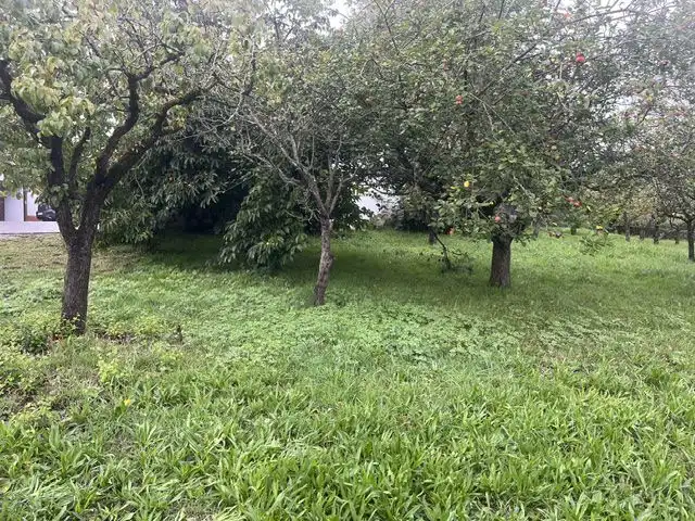 House for sale in Llanera, imagen 48
