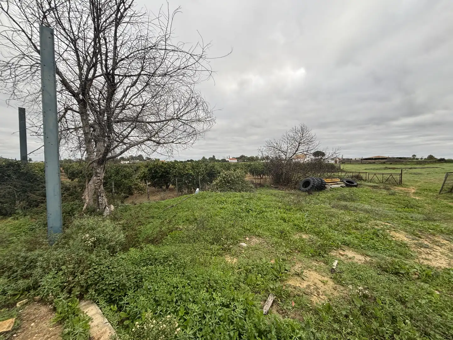 Terreni e lotti in vendita a Villanueva del Ariscal, imagen 12